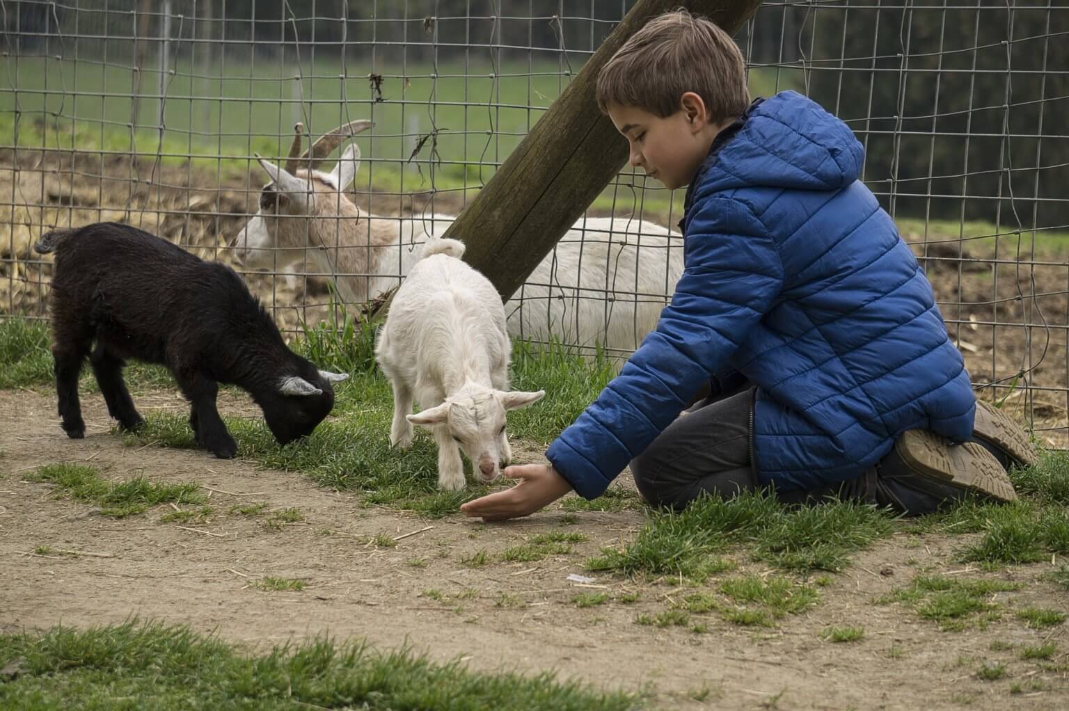 Die TopFreizeiteinrichtungen für Kinder in Berlin Freizeitzentren